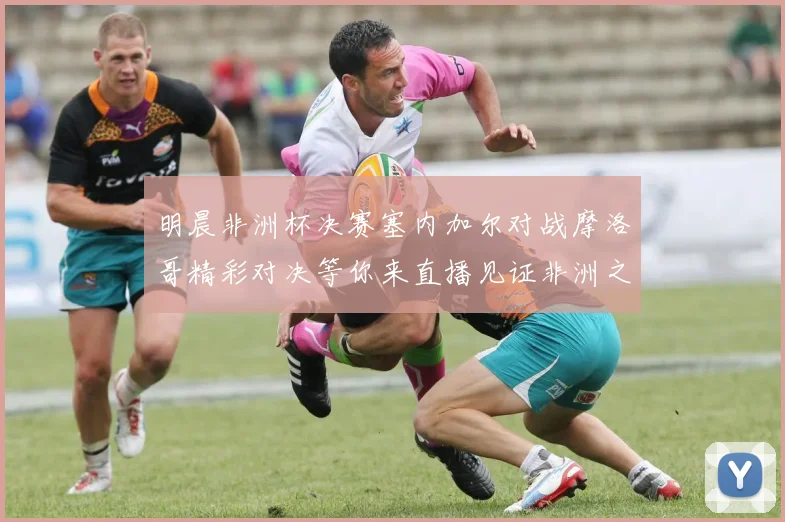 明晨非洲杯决赛塞内加尔对战摩洛哥精彩对决等你来直播见证非洲之王的诞生