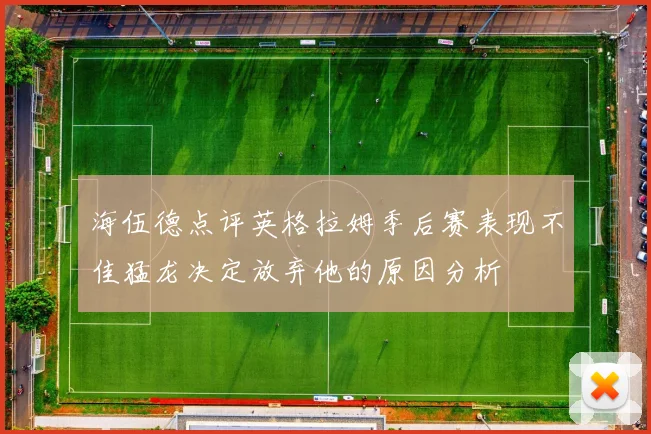 海伍德点评英格拉姆季后赛表现不佳猛龙决定放弃他的原因分析